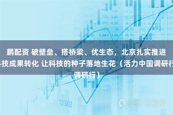 鹏配资 破壁垒、搭桥梁、优生态，北京扎实推进科技成果转化 让科技的种子落地生花（活力中国调研行）