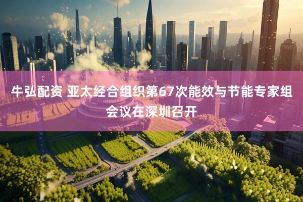 牛弘配资 亚太经合组织第67次能效与节能专家组会议在深圳召开